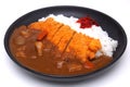 Curry Rice with Deep Fried Pork or Katsu-kare , Japanese style f