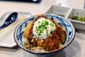 Curry rice with fried pork