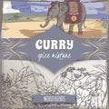 Curry spice mixture template with curry tree, turmeric, coriander, chili pepper and Indian elephant color sketch.