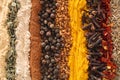Curry spices Royalty Free Stock Photo