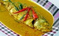Curry style thai food , chuchi mackerel on dish