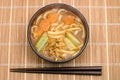 Curry udon noodles Royalty Free Stock Photo