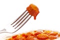 Curry-Wurst Royalty Free Stock Photo