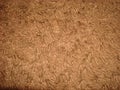 carpet texture