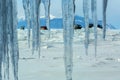 Curtain of icicles and tourist expedition on Baikal ice. Royalty Free Stock Photo