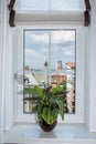 Curtain interior decoration in living room. Window sill with flower pot, view of the city