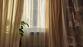 Curtain with tulle on the window. The interior of the room with draped curtains Royalty Free Stock Photo