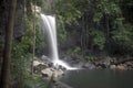 Curtis Falls in Mount Tamborine National Park on the Gold Coast Royalty Free Stock Photo