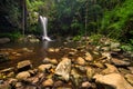 Curtis Falls in Mount Tamborine National Park on the Gold Coast Royalty Free Stock Photo