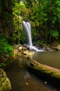 Curtis Falls in Mount Tamborine National Park on the Gold Coast Royalty Free Stock Photo