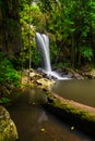 Curtis Falls in Mount Tamborine National Park on the Gold Coast