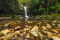 Curtis Falls in Mount Tamborine National Park on the Gold Coast Royalty Free Stock Photo