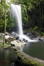 Curtis Falls in Mount Tamborine National Park on the Gold Coast Royalty Free Stock Photo