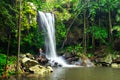 Curtis Falls in Mount Tamborine National Park on the Gold Coast Royalty Free Stock Photo