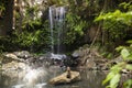 Curtis Falls Waterfall in Mount Tambourine