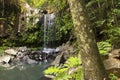 Curtis Falls Waterfall in Mount Tambourine Royalty Free Stock Photo