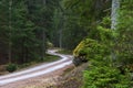 Curvaceous dirt road Royalty Free Stock Photo