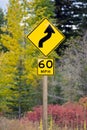 Curve Ahead Highway Sign 60 MPH Royalty Free Stock Photo