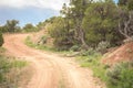 Curve Along High Desert Mountain Road Royalty Free Stock Photo