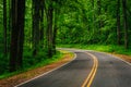 Curve along Skyline Drive in the woods, in Shenandoah National P Royalty Free Stock Photo