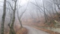 The curve of an asphalt road during a thick fog in the autumn forest. Travel in autumn and winter. A trip by car, a walk