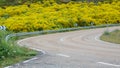 Curve with barrier and flowery bush in Spain