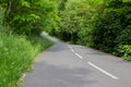 Curve bycicle road surrounded by trees. Royalty Free Stock Photo