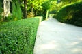 Curve concrete pathway with green trimmed bush hedge in the park Royalty Free Stock Photo