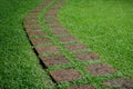 Curve dot rock on green grass