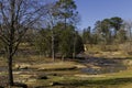 The Curve in the Flat Rock Creek