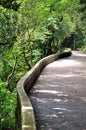 Curve path surround with green plant