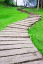 Curve pathway through green lawn