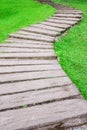 Curve pathway through green lawn