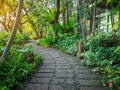 Curve pattern of brown laterite walkway in a tropical backyard garden, greenery fern plant, shrub and bush, decorate with orange