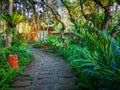 Curve pattern of brown laterite walkway in a tropical garden, greenery fern plant, shrub and bush, decorate with orange pottery Royalty Free Stock Photo