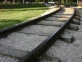 Curve in railroad tracks with grass Royalty Free Stock Photo