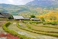 Curve of rice terraced field