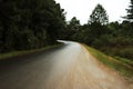 Curve of a road in the middle of a forest