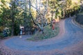 Curve road to mountain of Chureito Temple.