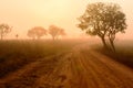 Curve road in the valley with sunrise and mist Royalty Free Stock Photo