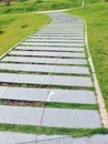 Curve stone path in garden Royalty Free Stock Photo