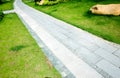 Curve stone path in garden Royalty Free Stock Photo