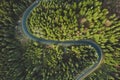 Curved aerial road from a drone. Forest asphalt road in the mountains near pine and spruce