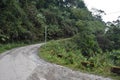 A curved asphalt road in the hilly forest