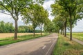 Curved asphalt road with tall trees on both sides