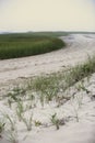 Beach with green grass in Wellfleet MA on Cape Cod Royalty Free Stock Photo