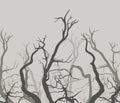 Curved branches of dark trees in fog on gray background vector illustration.