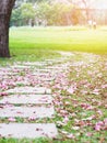 Curved brick path with pink falling trumpet flowers Royalty Free Stock Photo
