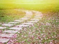 Curved brick path with pink falling trumpet flowers Royalty Free Stock Photo