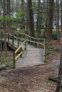 A curved brown wooden bridge in the forest surrounded by tall thin lush green pine trees at Murphey Candler Park